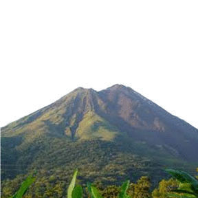 imageedit_42_7345254428