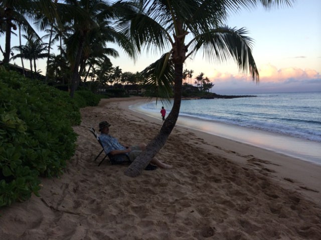 a 1 a 7