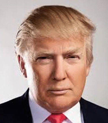 imageedit_3_8563542563