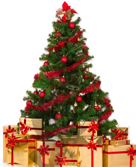 imageedit_4_2566006831