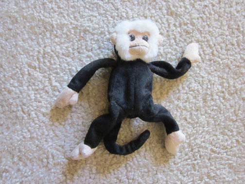 imageedit_3_2890449993