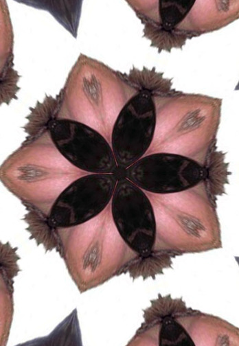 imageedit_3_6399355620