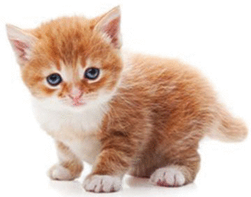 imageedit_6_7216825652