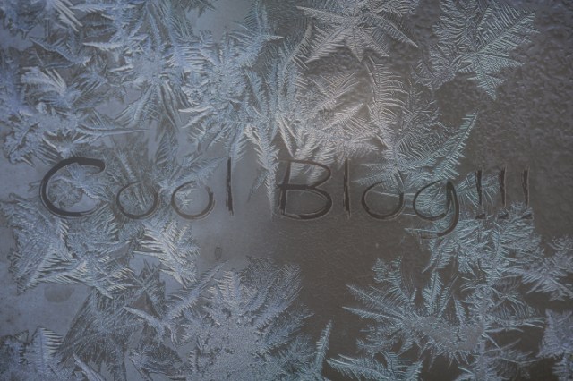 PhotoFunia-1461254367