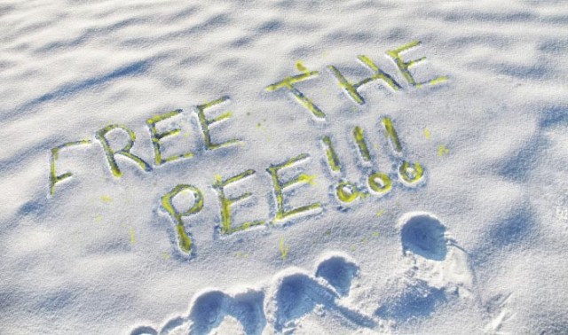 PhotoFunia-1464705566