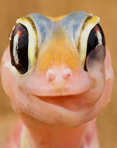 imageedit_1_2758931495