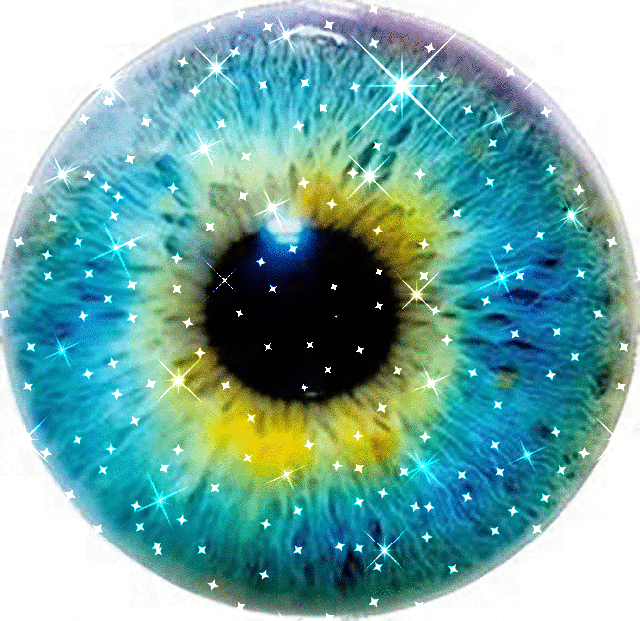 imageedit_1_2454415630