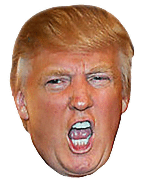 imageedit_1_8460490401