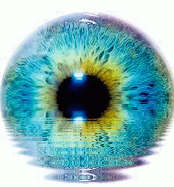 imageedit_1_9965493220