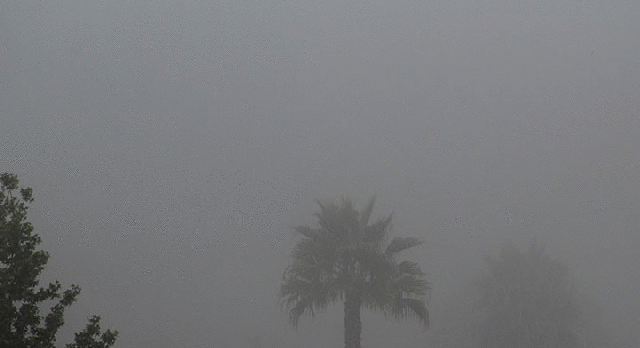 imageedit_2_5162314064