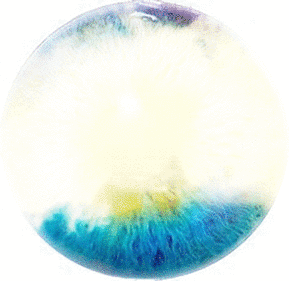 imageedit_4_4181358706