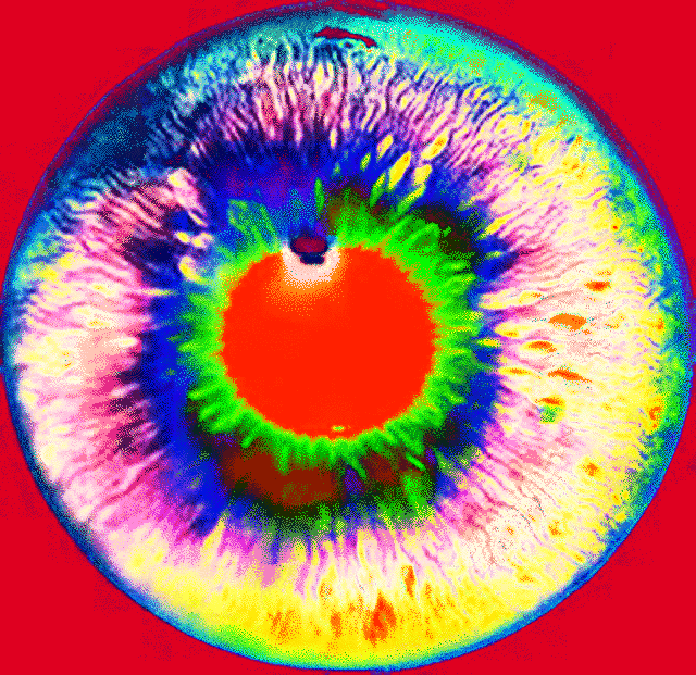 imageedit_4_5599827375