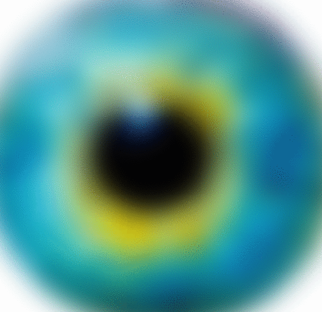 imageedit_4_8358651418