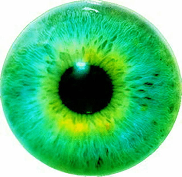 imageedit_6_3026703953