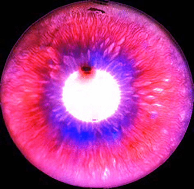 imageedit_8_7426594361