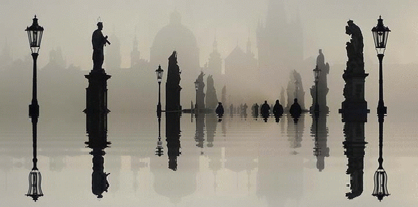 imageedit_1_6771175682