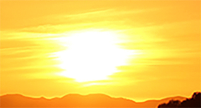 imageedit_1_3163821641