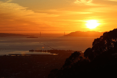 imageedit_1_3447910554