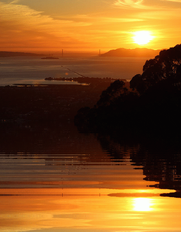 imageedit_1_4338050521