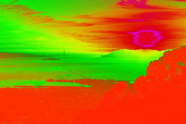 imageedit_1_7855965849