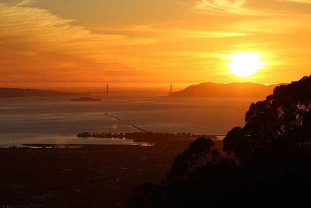 imageedit_1_9066486287