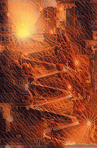 imageedit_3_9208108026