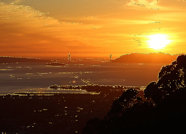 imageedit_4_4001018371