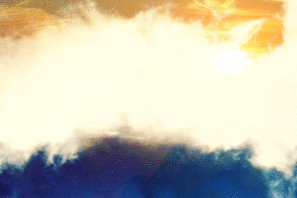 imageedit_4_8017785061