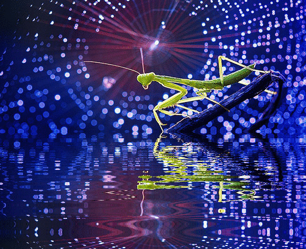 imageedit_1_9399973928