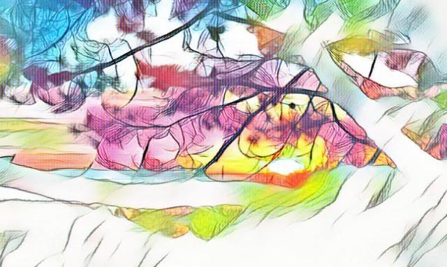 imageedit_1_9457586292