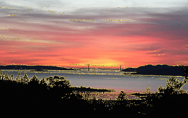 imageedit_2_8745014991