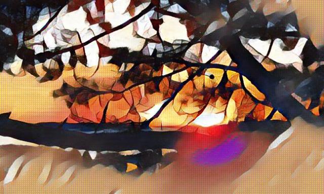 imageedit_5_9164575446