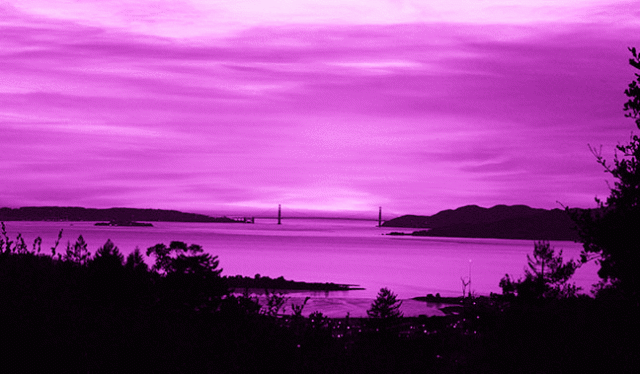 imageedit_6_6491801381