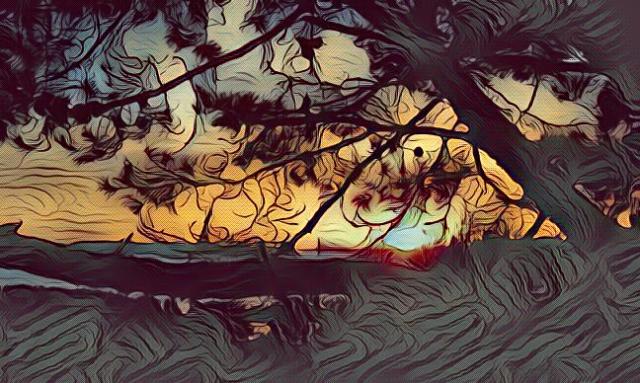 imageedit_6_8392672676