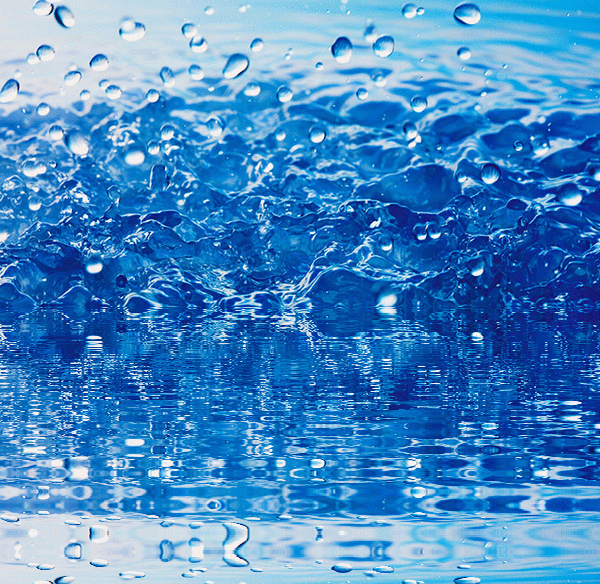 imageedit_1_4844605006