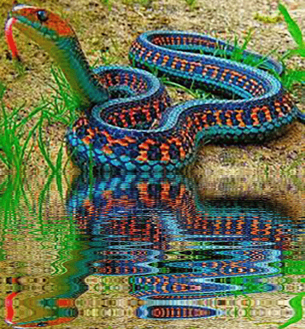 imageedit_1_5154957037