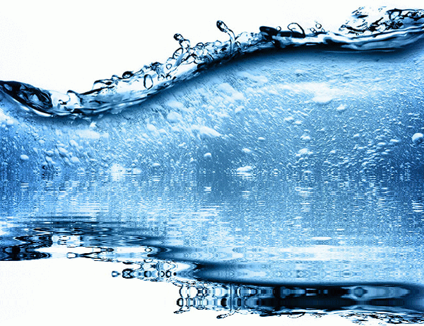 imageedit_1_5568448409