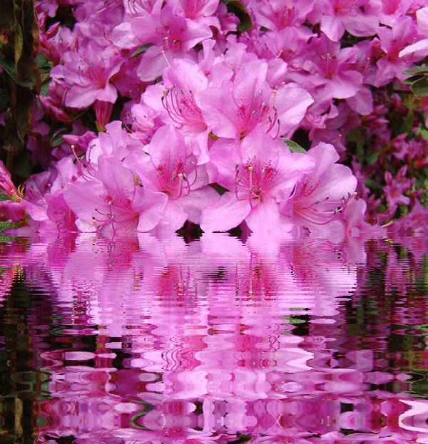 imageedit_1_7608061954