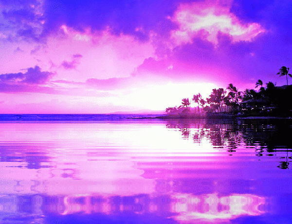 imageedit_1_7865138642