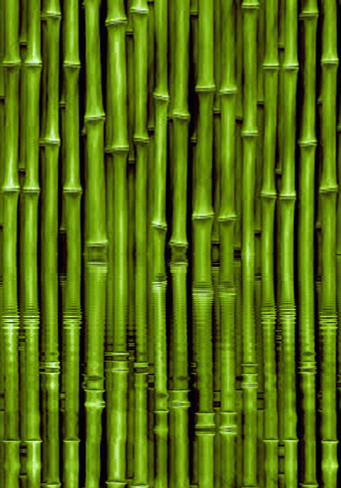 imageedit_1_8366761624