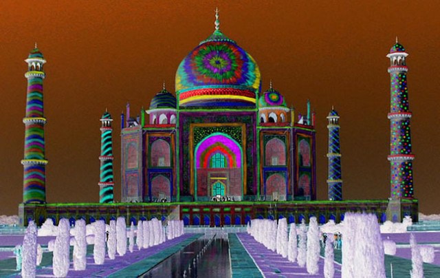 imageedit_3_2064877156