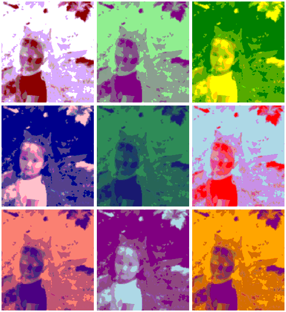 imageedit_3_9414263658