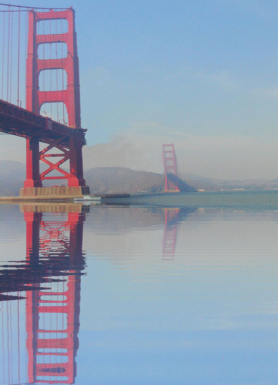 imageedit_1_9774423252