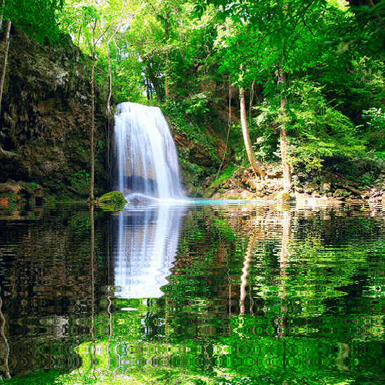 imageedit_1_2668524961