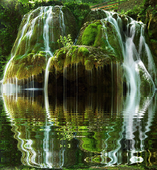 imageedit_1_3085483852