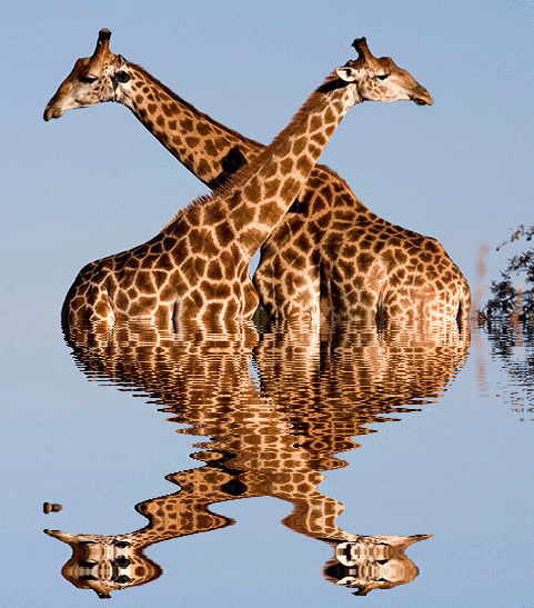 imageedit_1_6676356542