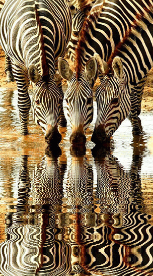 imageedit_1_7251783002