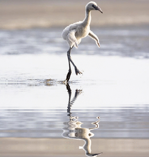 imageedit_1_8325493931