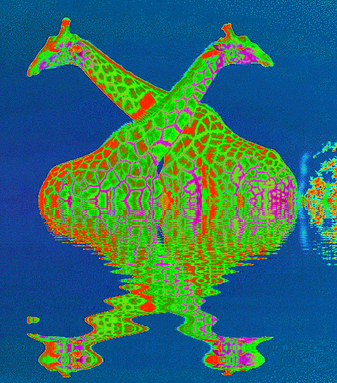 imageedit_2_5498536281