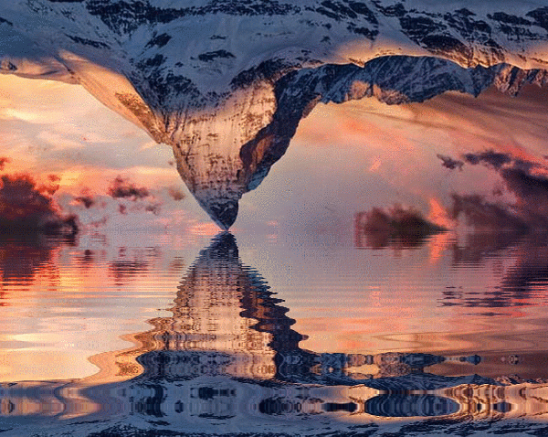 imageedit_1_2893158316